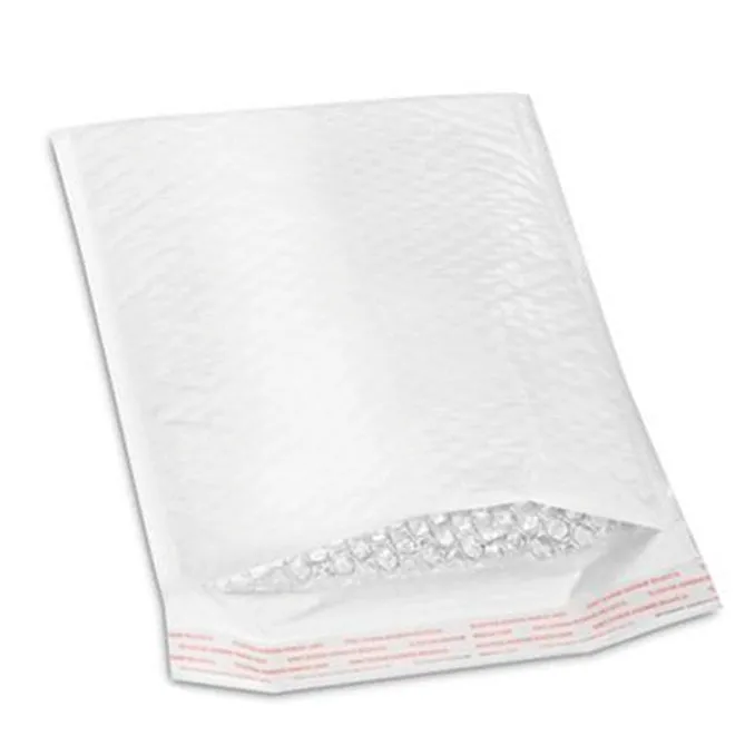 Bubble Bag - Sealed Air 10 x 12 Bag 100002279