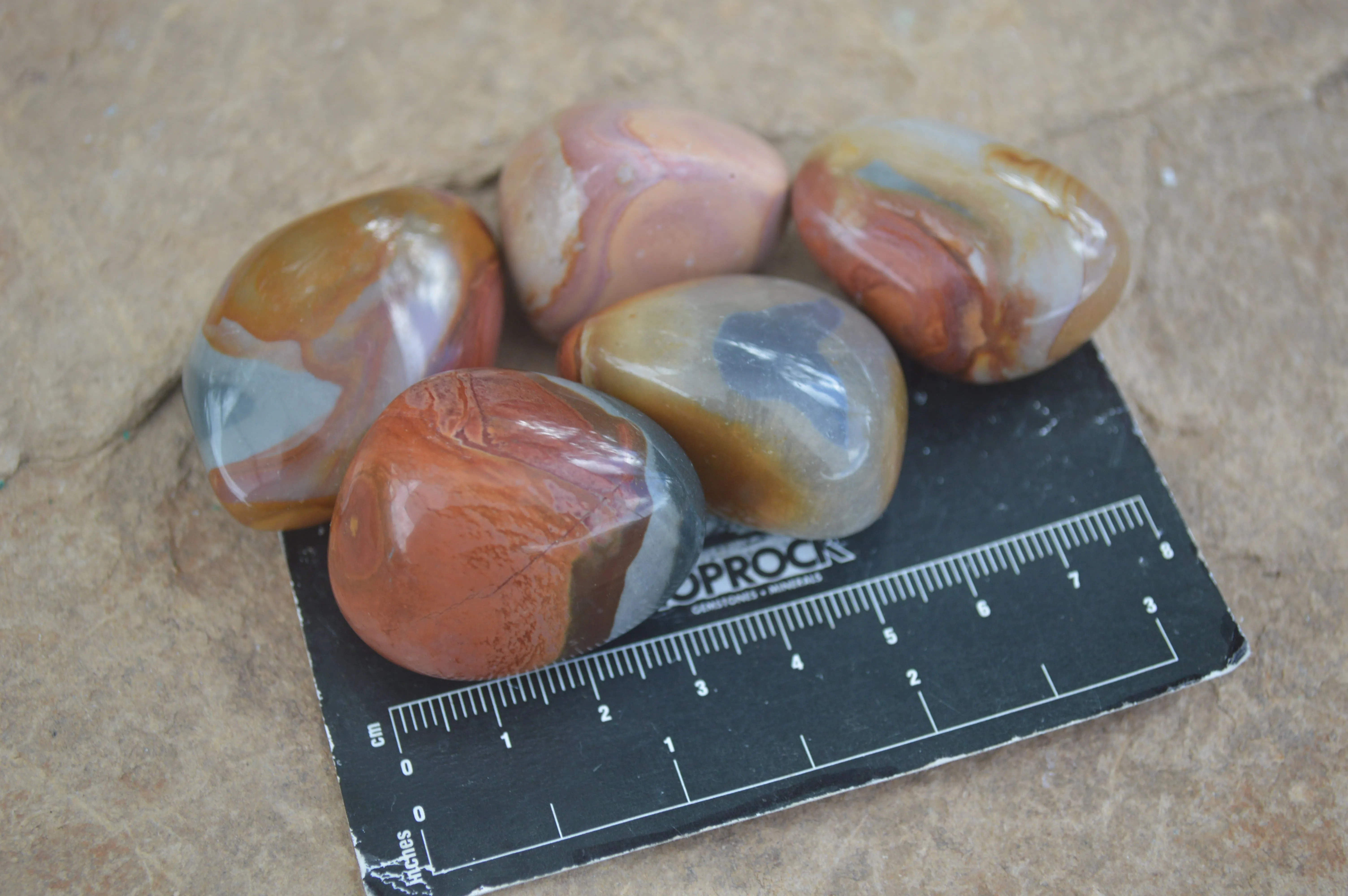 Polished Small Polychrome Jasper (Picasso Jasper) Tumble Stones  - Sold per 1 kg - From Madagascar