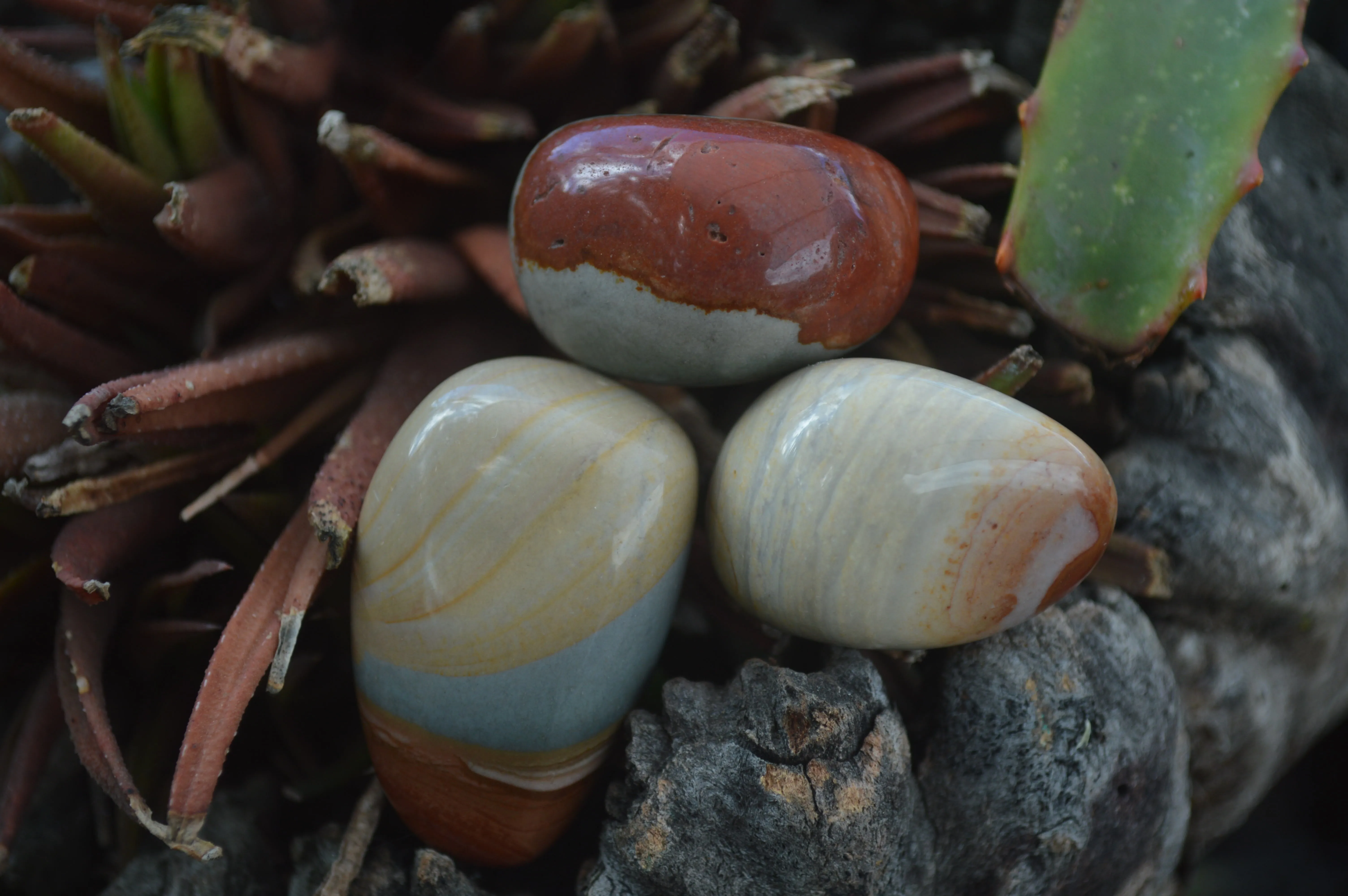 Polished Small Polychrome Jasper (Picasso Jasper) Tumble Stones  - Sold per 1 kg - From Madagascar