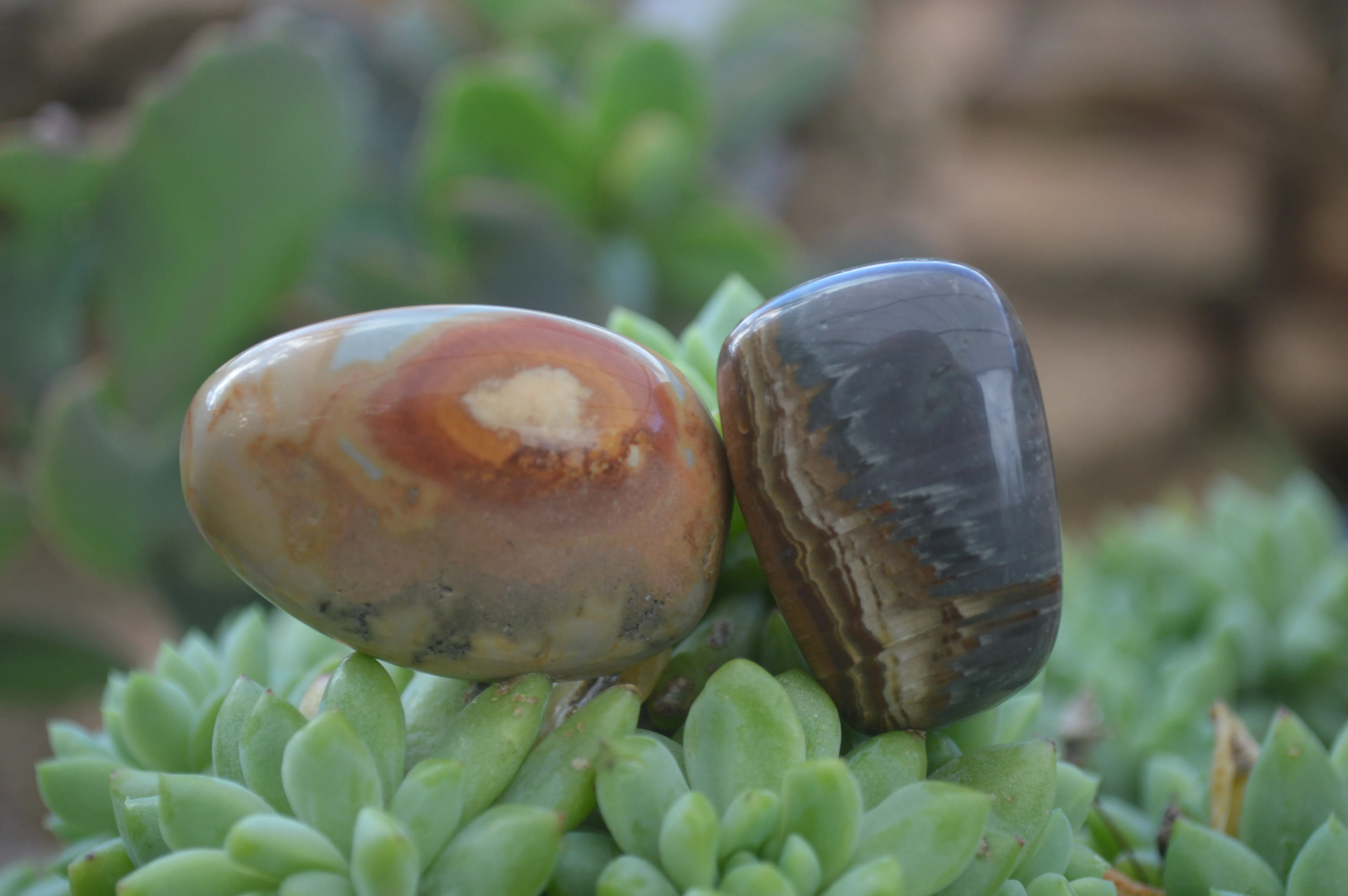 Polished Small Polychrome Jasper (Picasso Jasper) Tumble Stones  - Sold per 1 kg - From Madagascar